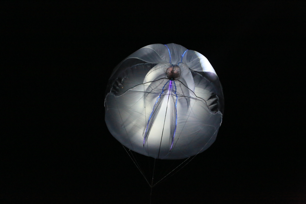 Dribergoble airborne at Roskilde 2017